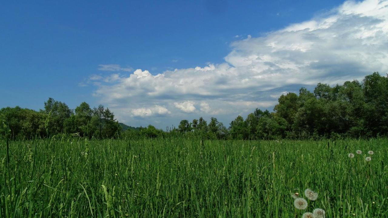 Acasa In Maramures Feresti Exterior foto